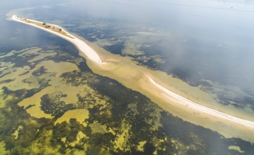 An aerial view of a sandbank surrounded by translucent water