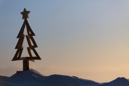 An aussie driftwood Christmas tree - Australian Stock Image