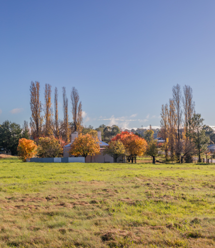 An autumn scene in the country under a blue sky - Australian Stock Image