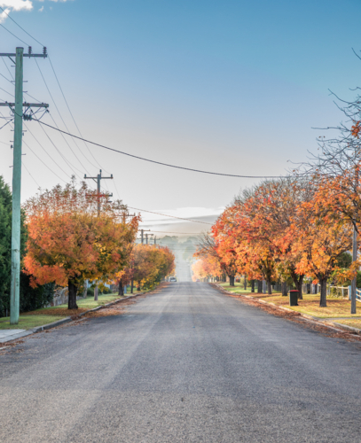 An autumn scene on a country road on a misty morning - Australian Stock Image