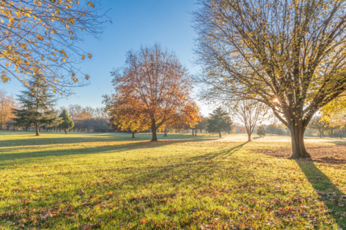 An early autumn morning in a country park - Australian Stock Image