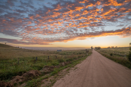 An early morning, a colourful dawn sky, and a country road - Australian Stock Image