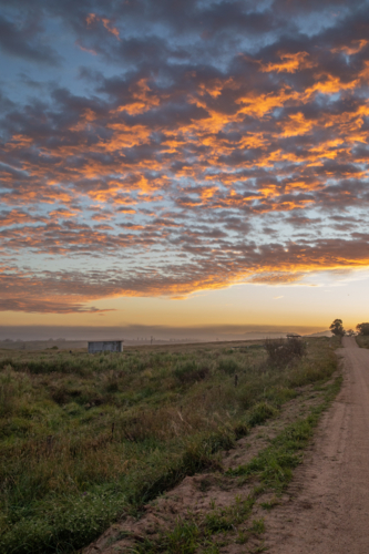 An early morning, a colourful dawn sky, and a country road - Australian Stock Image