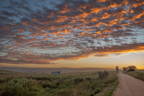An early morning, a colourful dawn sky, and a country road - Australian Stock Image