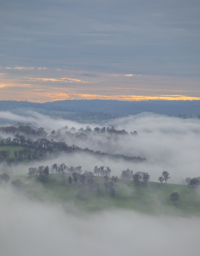 An early morning country scene underneath dawn skies with a low lying mist - Australian Stock Image