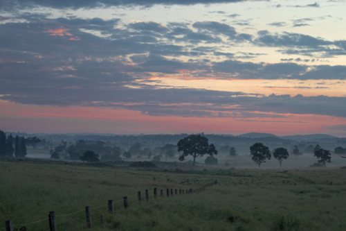 An early morning in the country - Australian Stock Image