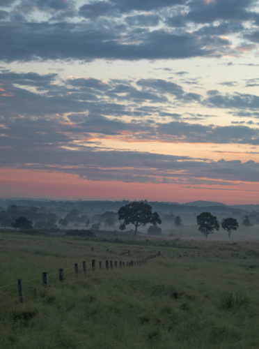 An early morning in the country - Australian Stock Image