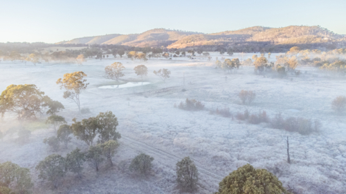 An early morning winter scene in the country with frost and mist - Australian Stock Image