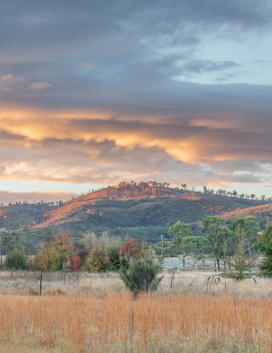An early morning with first light on a hilltop - Australian Stock Image