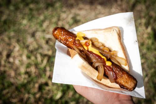 An election day sausage in bread from a BBQ, colloquially known as a sausage sizzle - Australian Stock Image