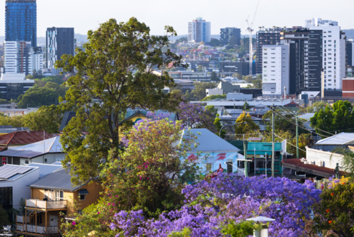 An elevated view looking at houses with greenery towards the distant large buildings of the city - Australian Stock Image