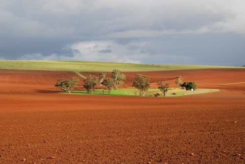 An oasis of green land in the middle of recently ploughed red earth