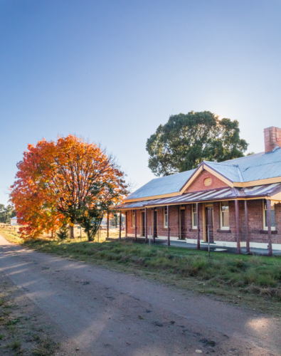 An old brick railway building with an autumn tree - Australian Stock Image