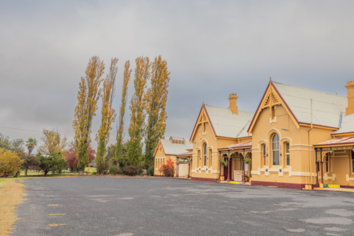 An old country railway building with a tree with autumn foliage - Australian Stock Image