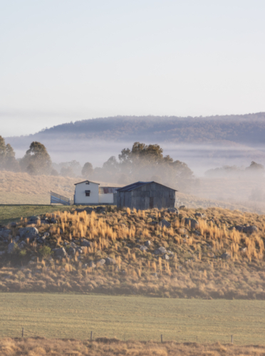 An old country shed on a hill on a misty morning - Australian Stock Image