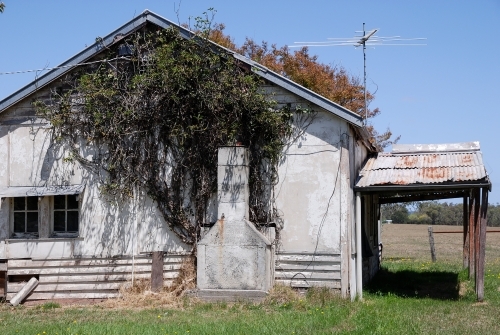 An old farm house covered in creepers - Australian Stock Image