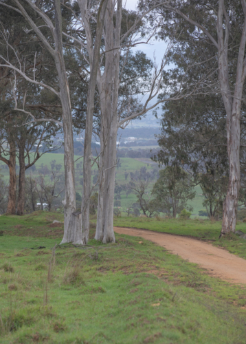 An old town Post Office building with a clock tower under grey skies - Australian Stock Image