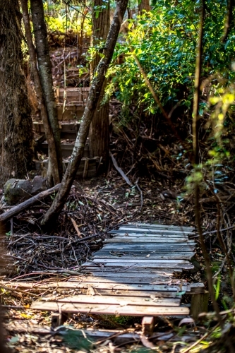 An old wooden bridge crosses a stream in a fern glade, with steps leading away - Australian Stock Image