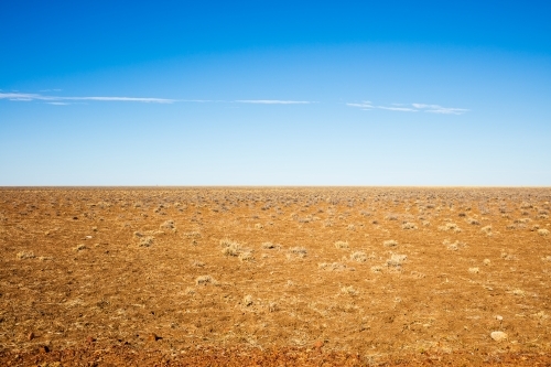 An open dry paddock with endless views at Alexandria Station in Northern Territory - Australian Stock Image