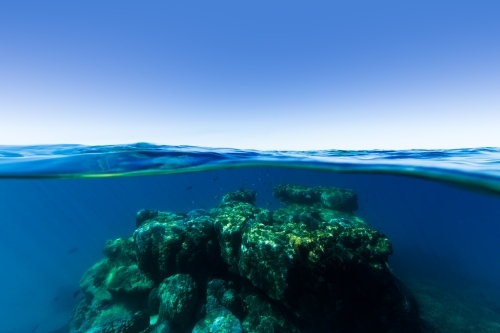 An underwater split shot of a coral reef rising out of deep blue water on the Great Barrier Reef - Australian Stock Image