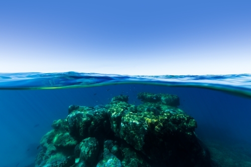 An underwater split shot of a coral reef rising out of deep blue water on the Great Barrier Reef