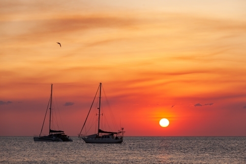 Anchored yachts at sunset in Seisia silhouetted