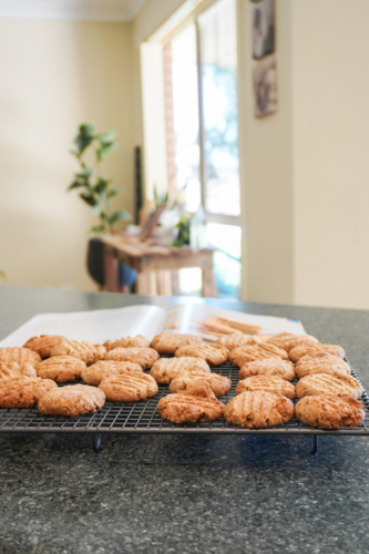 Anzac Biscuits - Australian Stock Image
