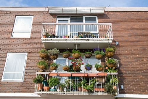 Apartment balcony covered with hanging baskets and plants