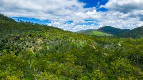 Area surrounding a fresh water swimming hole in the summer - Australian Stock Image