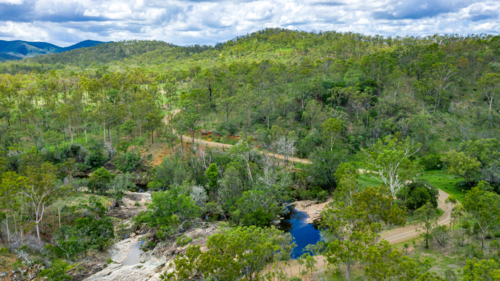 Area surrounding a freshwater swimming hole in the summer - Australian Stock Image