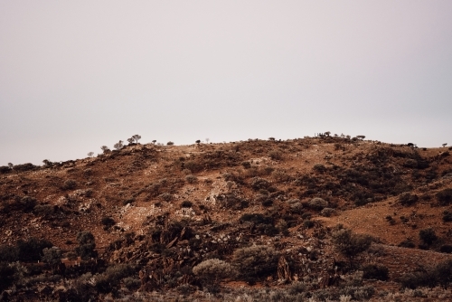 Arid bush of Broken Hill - Australian Stock Image