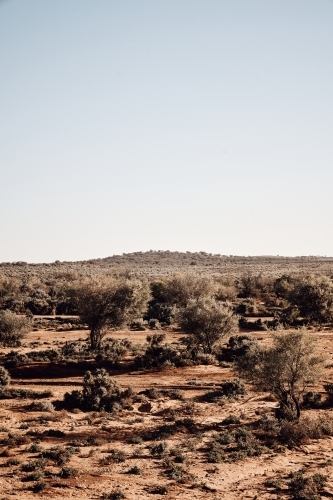 Arid desert and bush in NSW outback - Australian Stock Image