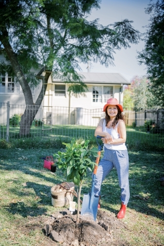 Asian woman planting a tree in garden - Australian Stock Image