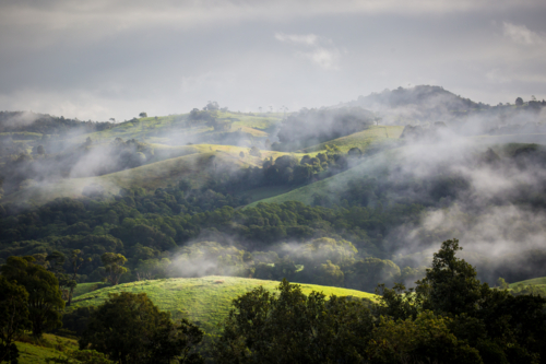 Atherton Tablelands on a misty winter's morning in Queensland, Australia - Australian Stock Image