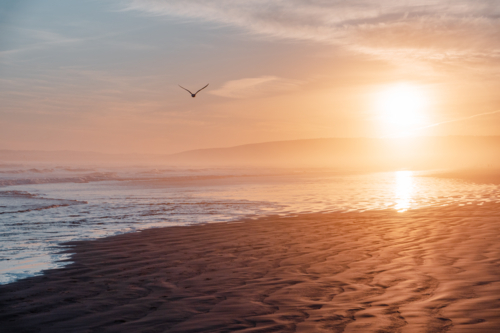 Atmospheric Golden Glow Over Goolwa Beach, South Australia - Australian Stock Image