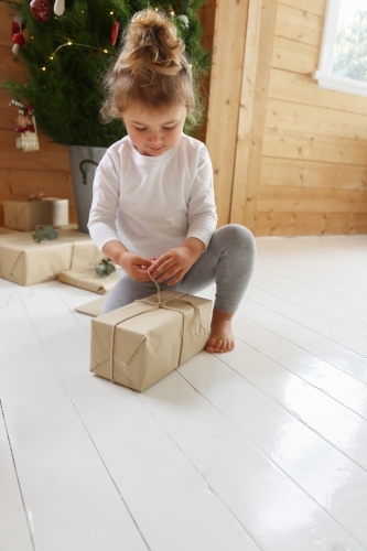 Little girl opening present with Christmas tree in background - Australian Stock Image