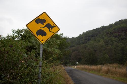 Australian animal roadsign - Australian Stock Image