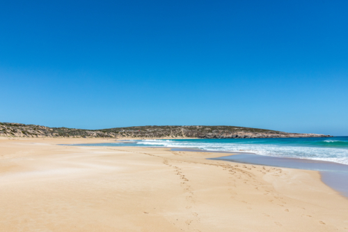 Australian beach in the summer - Australian Stock Image