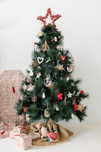 Australian Christmas Tree - Australian Stock Image