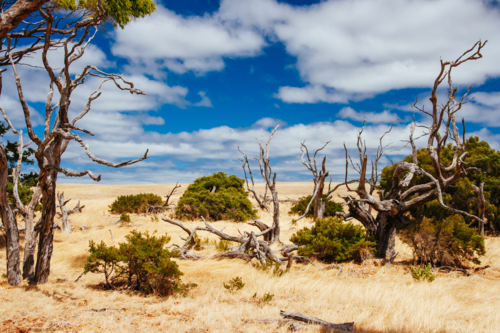 Australian landscape in Cape Naturaliste peninsula, near Dunsborough in Margaret River, WA - Australian Stock Image