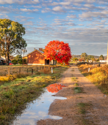 Autumn colours, a cloudy sky and a puddle with reflection - Australian Stock Image