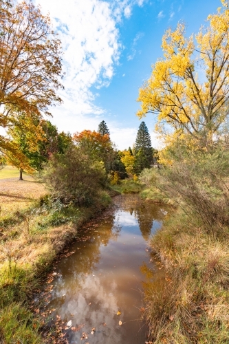 Autumn foliage at Alma Park, Uralla - Australian Stock Image