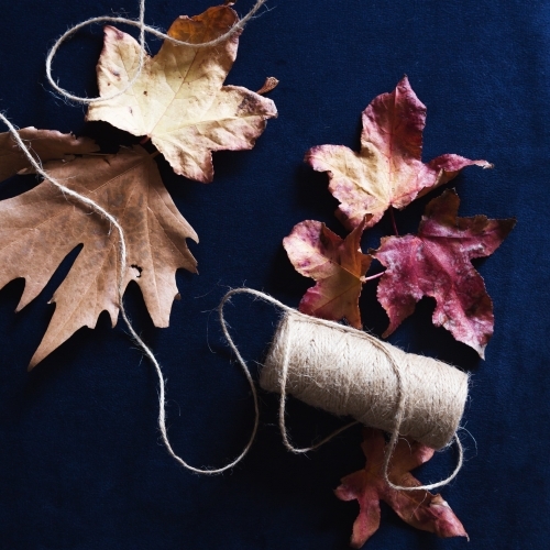 Autumn leaves and craft string on navy velvet background