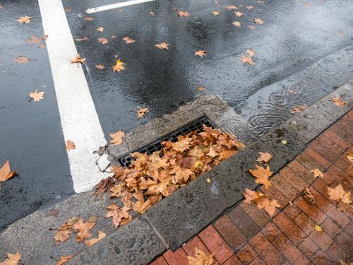 Autumn leaves washing into a wet kerbside gutter - Australian Stock Image