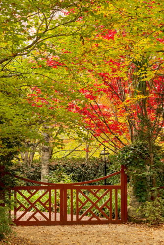 Autumn seasonal colours in streetscape appeal - Australian Stock Image
