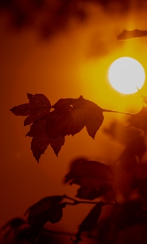 autumn sunset - Australian Stock Image