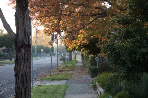 Autumn sunset on suburban street - Australian Stock Image