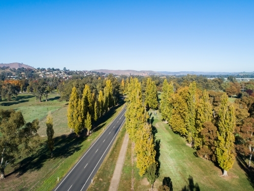 Autumn trees lining bend in road - Australian Stock Image