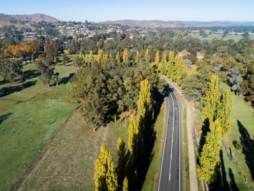 Autumn trees lining bend in road - Australian Stock Image
