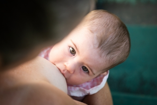 Baby breast feeding while looking up at her mother. - Australian Stock Image